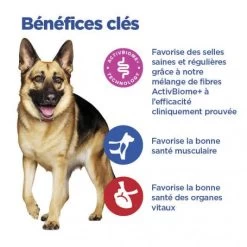 Vet Essentials Chien Multi-Benefit + Digestion Adulte+ Large Breed 15 Vet Essentials Chien Multi-Benefit + Digestion Adulte+ Large Breed -Animaux Fournitures Magasin vet essentials chien multi benefit digestion ad1 lar br sac de 14 kg 5