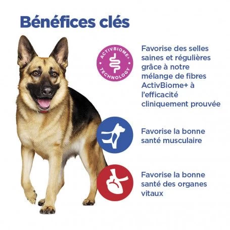 Vet Essentials Chien Multi-Benefit + Digestion Adulte+ Large Breed 9 Vet Essentials Chien Multi-Benefit + Digestion Adulte+ Large Breed – Image 7