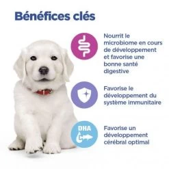 Vet Essentials Chien Multi-Benefit Puppy Large Breed Poulet -Animaux Fournitures Magasin vet essentials chien multi benefit puppy large breed poulet 5