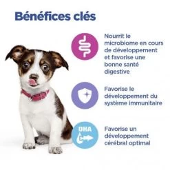 Vet Essentials Chien Multi-Benefit Puppy Medium Poulet -Animaux Fournitures Magasin vet essentials chien multi benefit puppy medium poulet 2