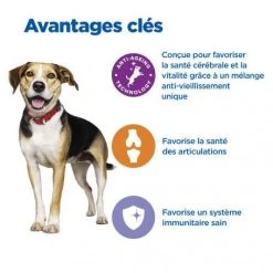 Vet Essentials Chien Multi-Benefit + Senior Health M&L Poul. 10 Vet Essentials Chien Multi-Benefit + Senior Health M&L Poul. -Animaux Fournitures Magasin vet essentials chien multi benefit senior health ml poul 2