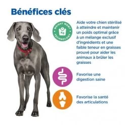 Vet Essentials Chien Multi-Benefit + Weight Adult + Large Breed Poulet -Animaux Fournitures Magasin vet essentials chien multi benefit wei adult 1 larb po 3