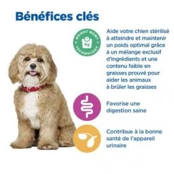 Vet Essentials Chien Multi-Benefit + Weight Adult 1+ Small & Mini Poulet -Animaux Fournitures Magasin vet essentials chien multi benefit wei adult 1 smm po 3