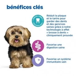 Vet Essentials Chien Multi-Benefit+Dental Adult 1+ Small & Mini 14 Vet Essentials Chien Multi-Benefit+Dental Adult 1+ Small & Mini -Animaux Fournitures Magasin vet essentials chien multi benefitdental adult 1 sm mp 4