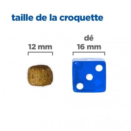 Vet Essentials Chien Multi-Benefit+Dental Adult 1+ Small & Mini 8 Vet Essentials Chien Multi-Benefit+Dental Adult 1+ Small & Mini – Image 6