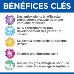 Vet Essentials Feline Kitten Growth Poulet Sachet Repas 13 Vet Essentials Feline Kitten Growth Poulet Sachet Repas -Animaux Fournitures Magasin vet essentials feline kitten growth poulet sachet repas 4