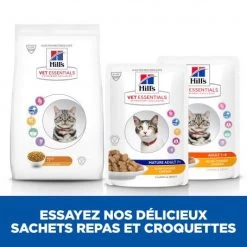 Vet Essentials Feline Mature Adult 7+ Poulet Sachet Repas 12 Vet Essentials Feline Mature Adult 7+ Poulet Sachet Repas -Animaux Fournitures Magasin vet essentials feline mature adult 7 poulet sachet repas 3