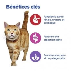 Vet Essentials Mult-Benefit Chat Adult No Grain Thon & Pomme De Terre -Animaux Fournitures Magasin vet essentials mult benefit chat adult no grain thon pdt 3