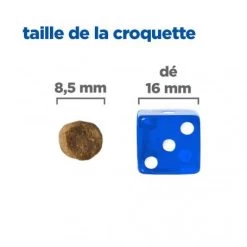 Vet Essentials Mult-Benefit Chat Adult No Grain Thon & Pomme De Terre -Animaux Fournitures Magasin vet essentials mult benefit chat adult no grain thon pdt 4