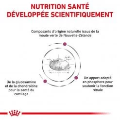 ROYAL CANIN Veterinary Health Nutrition Cat Mobility -Animaux Fournitures Magasin veterinary diet cat mobility 2
