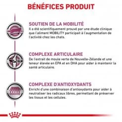 ROYAL CANIN Veterinary Health Nutrition Cat Mobility -Animaux Fournitures Magasin veterinary diet cat mobility 3