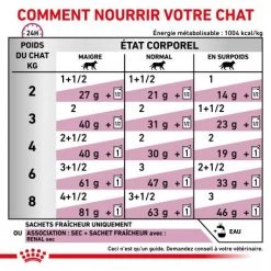 ROYAL CANIN Veterinary Health Nutrition Cat Renal Boeuf Sachet Repas 13 ROYAL CANIN Veterinary Health Nutrition Cat Renal Boeuf Sachet Repas -Animaux Fournitures Magasin veterinary diet cat renal boeuf sachet repas 3