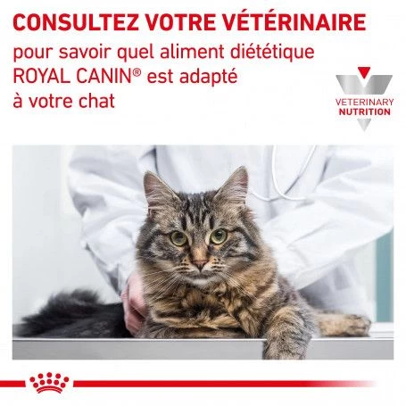 ROYAL CANIN Veterinary Health Nutrition Cat Renal Boeuf Sachet Repas 8 ROYAL CANIN Veterinary Health Nutrition Cat Renal Boeuf Sachet Repas – Image 6