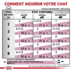 ROYAL CANIN Veterinary Health Nutrition Cat Renal Poisson Sachet Repas 13 ROYAL CANIN Veterinary Health Nutrition Cat Renal Poisson Sachet Repas -Animaux Fournitures Magasin veterinary diet cat renal poisson sachet repas 3