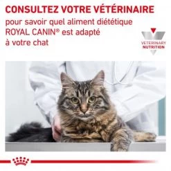 ROYAL CANIN Veterinary Health Nutrition Cat Renal Poisson Sachet Repas 16 ROYAL CANIN Veterinary Health Nutrition Cat Renal Poisson Sachet Repas -Animaux Fournitures Magasin veterinary diet cat renal poisson sachet repas 6