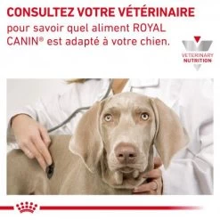 ROYAL CANIN Veterinary Health Nutrition Dog Cardiac -Animaux Fournitures Magasin veterinary diet dog cardiac 7