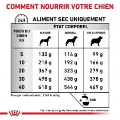 ROYAL CANIN Dog Gastro Intestinal High Fibre 14 ROYAL CANIN Dog Gastro Intestinal High Fibre -Animaux Fournitures Magasin veterinary diet dog fibre response 4
