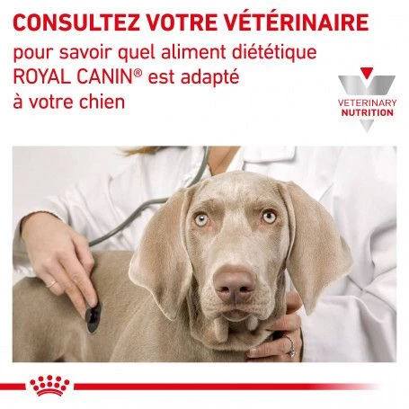 ROYAL CANIN Dog Gastro Intestinal High Fibre 9 ROYAL CANIN Dog Gastro Intestinal High Fibre – Image 7