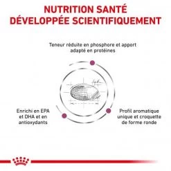 ROYAL CANIN Veterinary Health Nutrition Dog Renal Special -Animaux Fournitures Magasin veterinary diet dog renal special 2