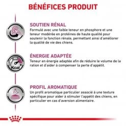 ROYAL CANIN Veterinary Health Nutrition Dog Renal Special Boîte 11 ROYAL CANIN Veterinary Health Nutrition Dog Renal Special Boîte -Animaux Fournitures Magasin veterinary diet dog renal special boite 2