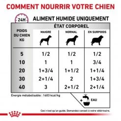 ROYAL CANIN Veterinary Health Nutrition Dog Renal Special Boîte 12 ROYAL CANIN Veterinary Health Nutrition Dog Renal Special Boîte -Animaux Fournitures Magasin veterinary diet dog renal special boite 3