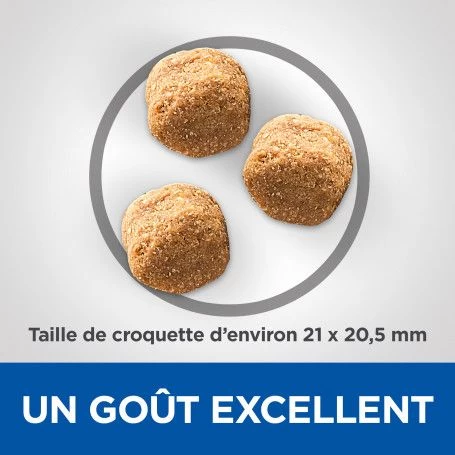 Vet Essentials Canine Adult Dental Health Large Breed Poulet 6 Vet Essentials Canine Adult Dental Health Large Breed Poulet – Image 4