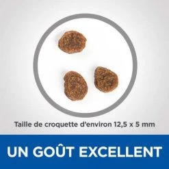 Vet Essentials Canine Adult Medium No Grain Thon & Pommes De Terre 8 Vet Essentials Canine Adult Medium No Grain Thon & Pommes De Terre -Animaux Fournitures Magasin vetessentials canine adult medium no grain thon pommes de terre 2