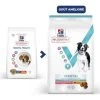 Vet Essentials Canine Mature Dental Health Medium & Large 2 Vet Essentials Canine Mature Dental Health Medium & Large -Animaux Fournitures Magasin vetessentials canine mature dental health medium large