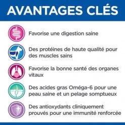 Vet Essentials Feline Adult Poulet Sachet Repas 7 Vet Essentials Feline Adult Poulet Sachet Repas -Animaux Fournitures Magasin vetessentials feline adult poulet sachet repas 1