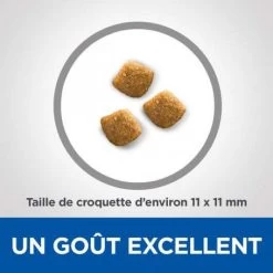 Vet Essentials Feline Young Adult Dental Health 10 Vet Essentials Feline Young Adult Dental Health -Animaux Fournitures Magasin vetessentials feline young adult dental health 3