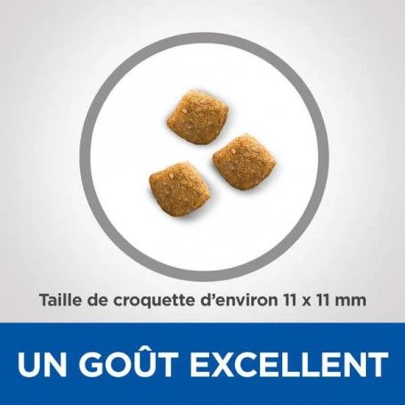 Vet Essentials Feline Young Adult Dental Health 6 Vet Essentials Feline Young Adult Dental Health – Image 4